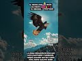 LA GRAN CREACIÓN DE DÍOS