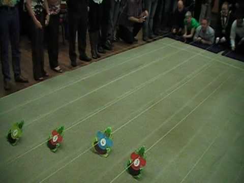 the frogs racially yours the frogs racially yours