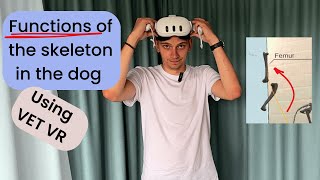 Inside the Skeleton: Exploring Canine Bone Functions in VR with Dr. Oborin