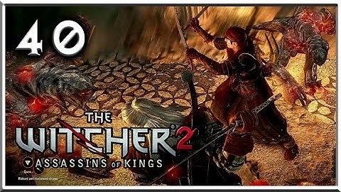 Witcher 2 Gameplay - For a Higher Cause