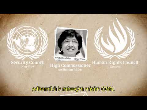 Video: Co udělala Deklarace lidských práv?
