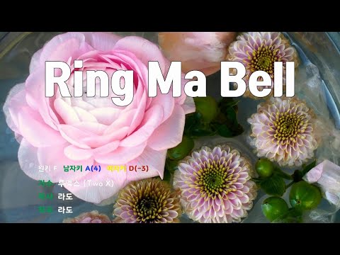 [은성 반주기] Ring Ma Bell - 투엑스(Two X)