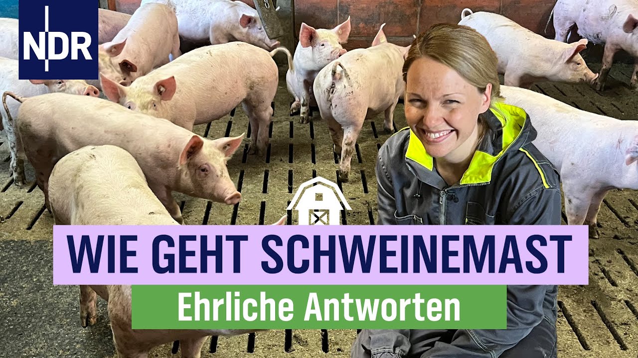 Jung, modern, Landwirtin: Gesa Langenberg und ihre Schweine | die nordstory | NDR