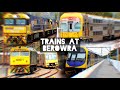 Trains at Berowra - November 2024