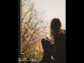 موسيقي_هادئه_للشعر بقمة الروعه mp3