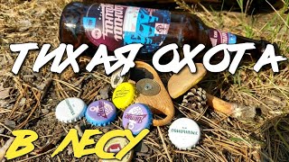 видео: Тихая охота - собираю грибы и пивные крышки в лесу картинка: Тихая охота - собираю грибы и пивные крышки в лесу