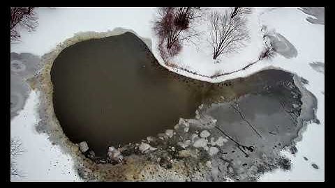 Winter Geese - Taken with SJRC F11 Pro 4K drone