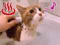 【限定動画特別公開】水も滴るイイ男!レン兄貴の入浴シーン!