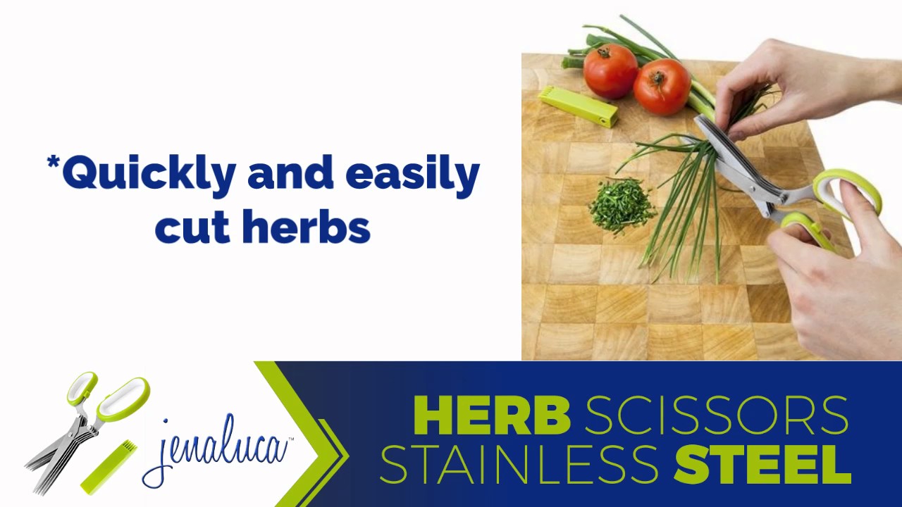Jenaluca Stainless Steel Herb Scissors - Eat Healthy in a Snap