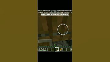 POV:Cave divers for no reason #shorts #minecraft #memes