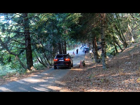 Klan News -