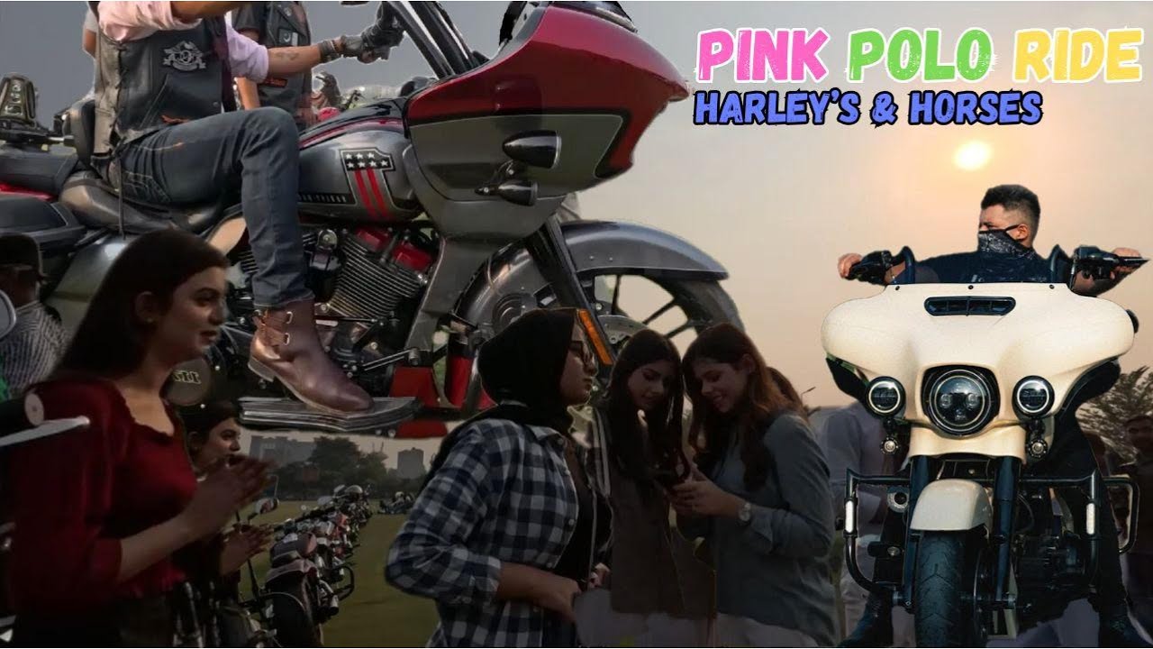 POLO PINK WOMEN 🎀|| HORSE'S TO HORSEPOWER | HARLEY DAVIDSON 🏍 GANG OF ...