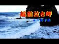 越前泣き岬  永井裕子曲   君津歌之助     20260103