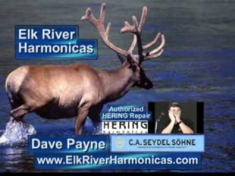 Elk River Harmonica Festival 2009