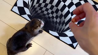 An otter and a cat react to a picture as if they were falling into a hole.