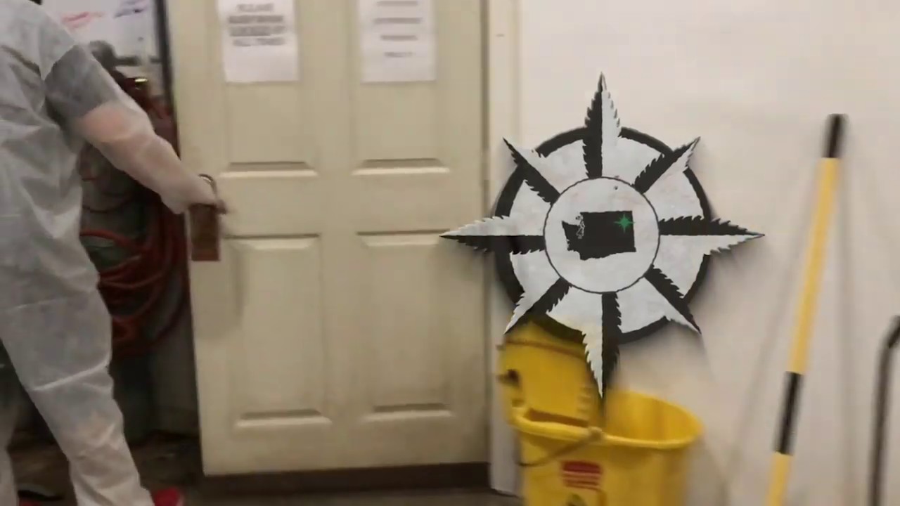 Cannabis Farm Tour 2019 - Growing Like a Weed