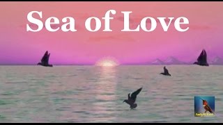Andy B. Free - Sea of Love - Soft Rock Love Song - from the album "My Way or the Free Way"