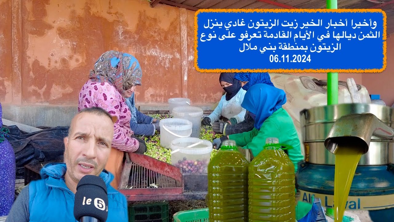 وأخيرا أخبار الخير زيت الزيتون غادي ينزل الثمن ديالها .تعرفو على نوع الزيتون بني ملال