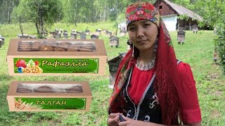 КОНФЕТЫ СВОИМИ РУКАМИ В ТАЙГЕ! ИЗ ЧЕГО? HANDMADE КОНФЕТЫ СВОИМИ РУКАМИ В ТАЙГЕ! ИЗ ЧЕГО? HANDMADE