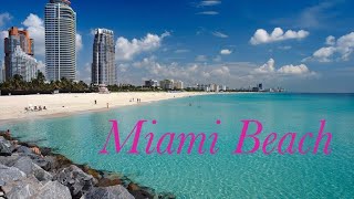 South Point Miami Beach Metal Detecting