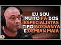 JOE ROGAN SOBRE ESPECIALISTAS NO MMA | LEGENDADO