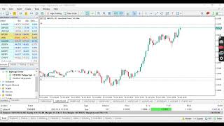 Live Trade 2 Profile