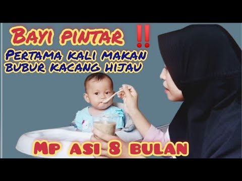 Resep Bubur Kacang Hijau Mpasi 8 Bulan