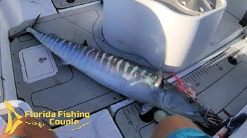 High Speed Trolling for Wahoo - SOLO in Key Largo