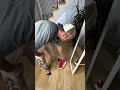 Прямое доказательство что мы все живем в матрице