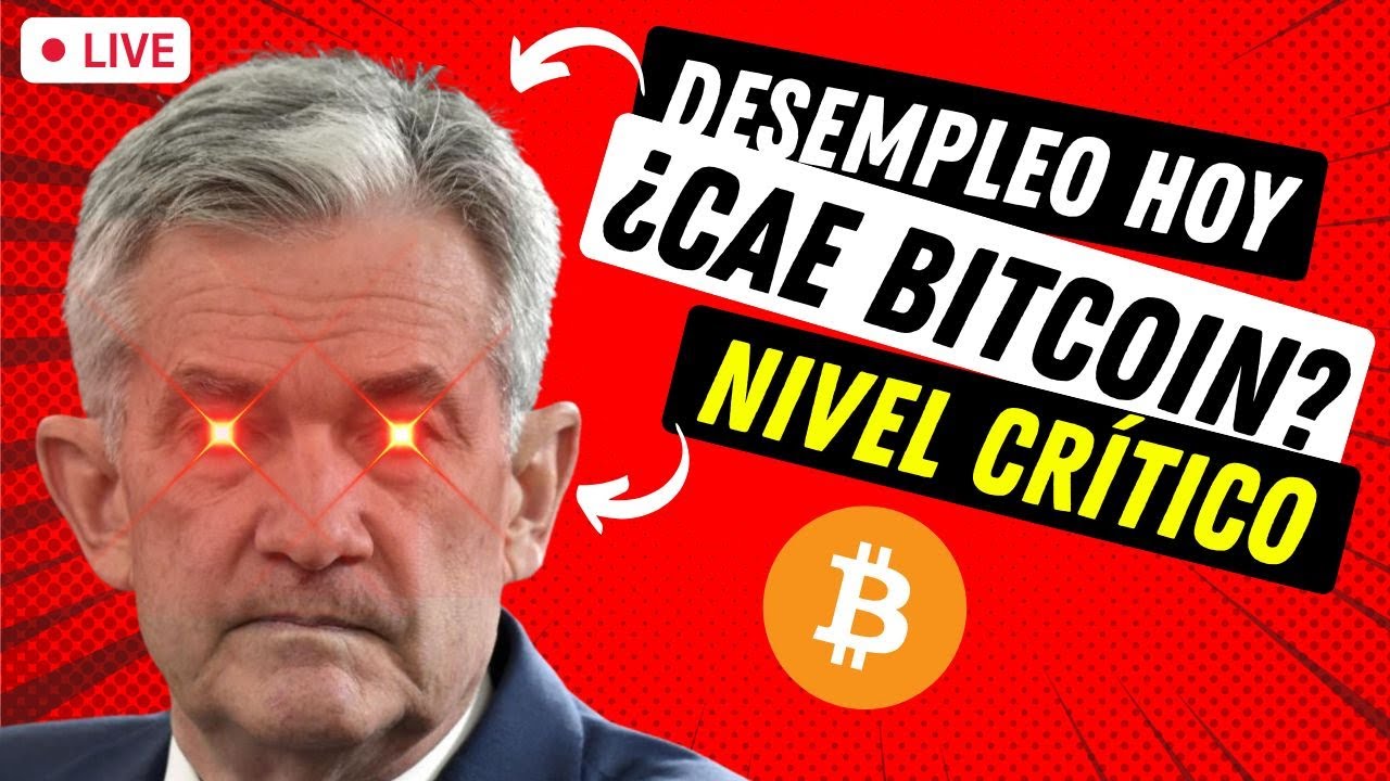 🔴 EN VIVO: BITCOIN EN PELIGRO POR LAS NFP HOY ➤ ¿QUÉ ALTCOINS COMPRAR?