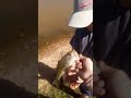 #blowup #fishing #bassfishing
