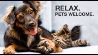 Pet friendly, Casino Hotel, Smoking Hampton Inn