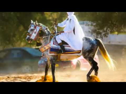 اغاني دمعك ماجاب احمد بن علي