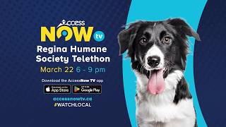 Regina Humane Society Telethon 2026 AccessNow TV