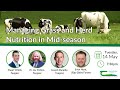 Managing grass and herd nutrition in mid season  webinar