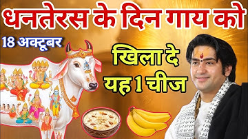 18 अक्टूबर धनतेरस के दिन चुपचाप गाय को खिला दे यह 1 चीज़ माता लक्ष्मी आएगी घर Vastu Shastra