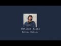 Hotline Bling Billie Eilish cover instrumental Looped (best part) extended version