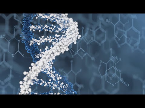 Vídeo: Qual porcentagem do DNA é compartilhada entre os membros da raça humana?