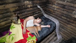 While Sleeping A Large Python Attacks And Prepares To Constrict Huyen P2 - Series I