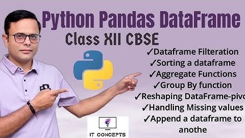 Python Pandas DataFrame Tutorial | Class 12 Informatics Practices  Video Part 6
