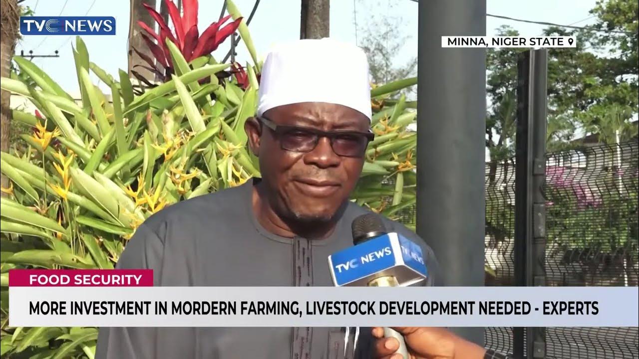 More Investment In Modern Farming, Livestock Development Needed – Expert