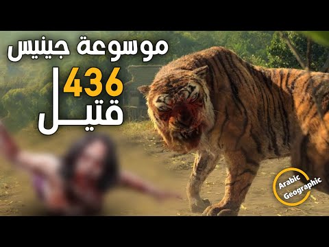 فيديو: في أي تاريخ تم إطلاق مشروع النمر؟