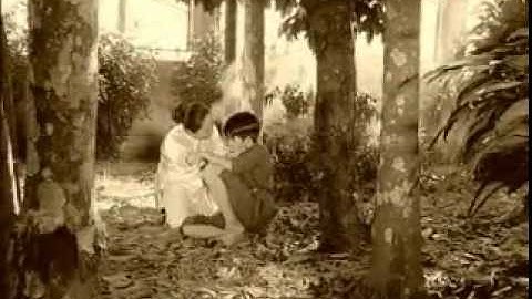 Dương Ngọc Thái - Dì Ghẽ Con Chồng