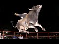 Un toro muy poderoso / Es el Guerrero Azteca de Rancho La Candelaria