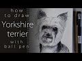 Как нарисовать йоркширского терьера How to draw a Yorkshire terrier