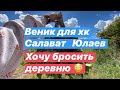 Веник для воспитанника ХК Салават Юлаев| Жара в России|charcoal