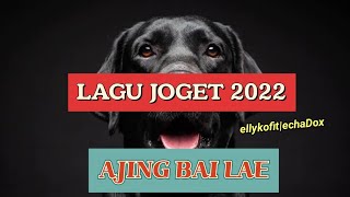 Lagu joget Terbaru 2022|Anjing Bai Lae ( Oficial Music video)ellykofit_echaDox