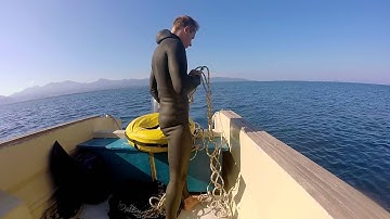 63M Deep Dive Session