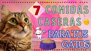 COMIDAS CASERAS PARA GATOS by LINA CAT 2,007 views 9 months ago 8 minutes, 6 seconds