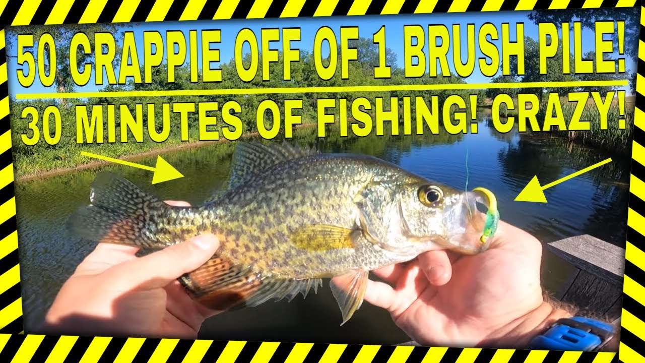 Fishing a Brush Pile For Summer Crappie! YouTube